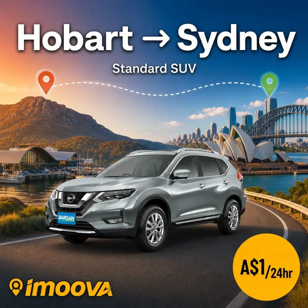 Standard SUV - image 1