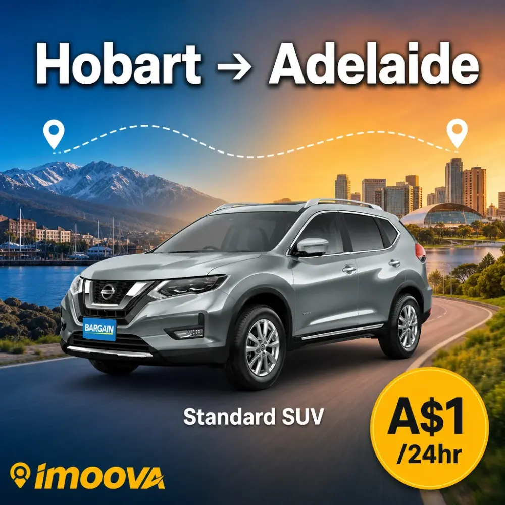 Standard SUV - image 1