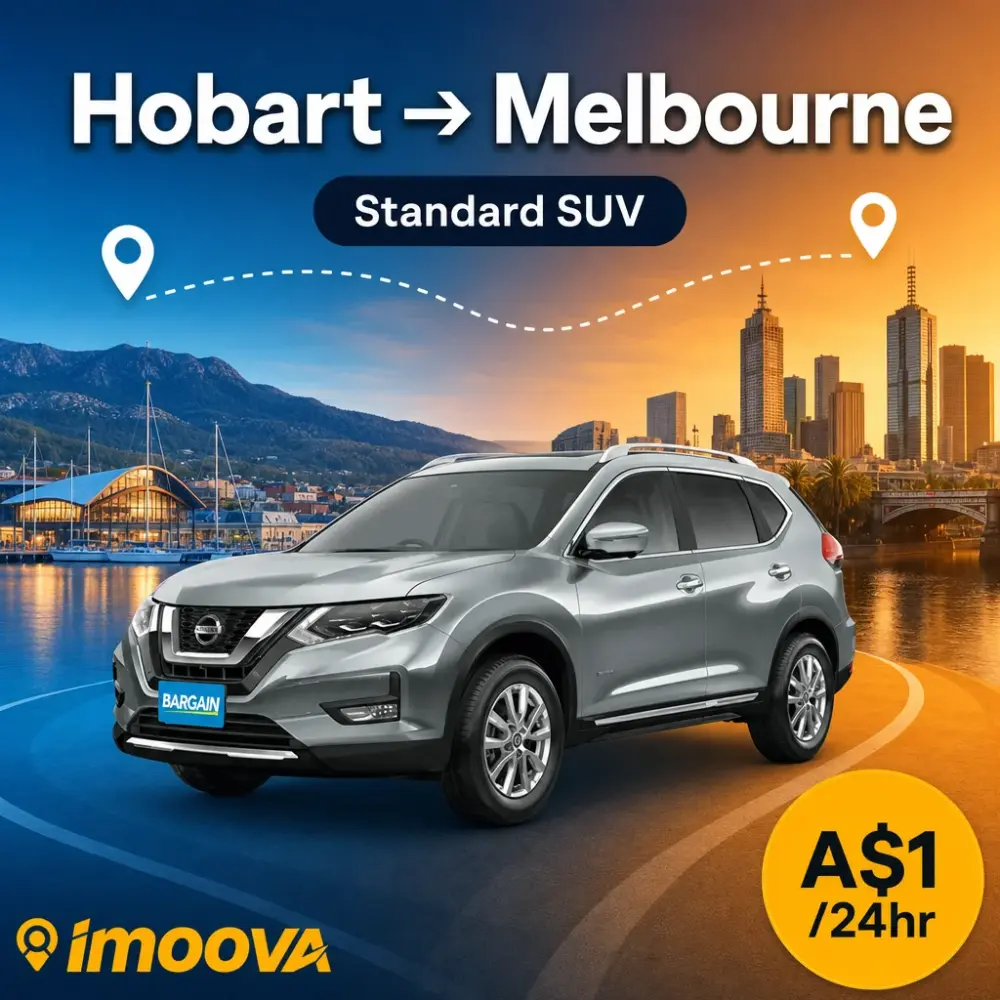 Standard SUV - image 1