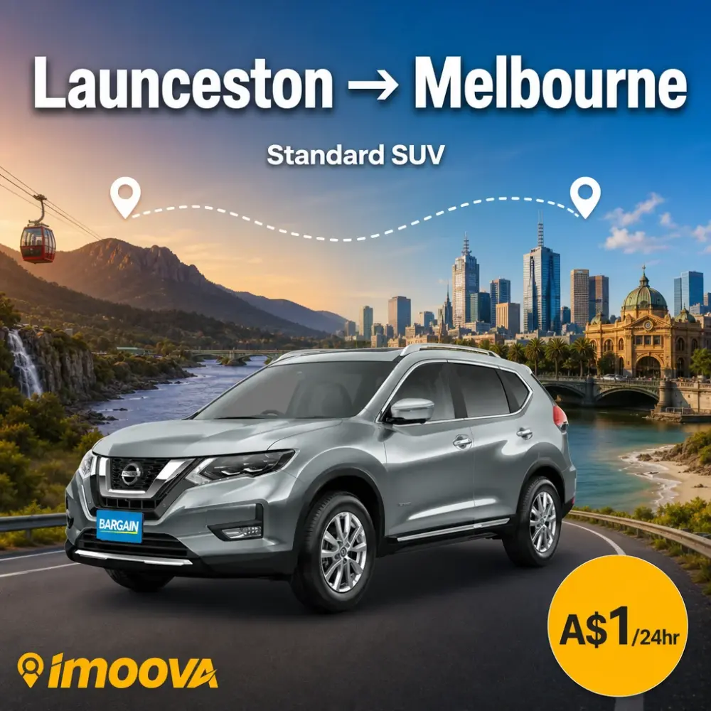Standard SUV - image 1