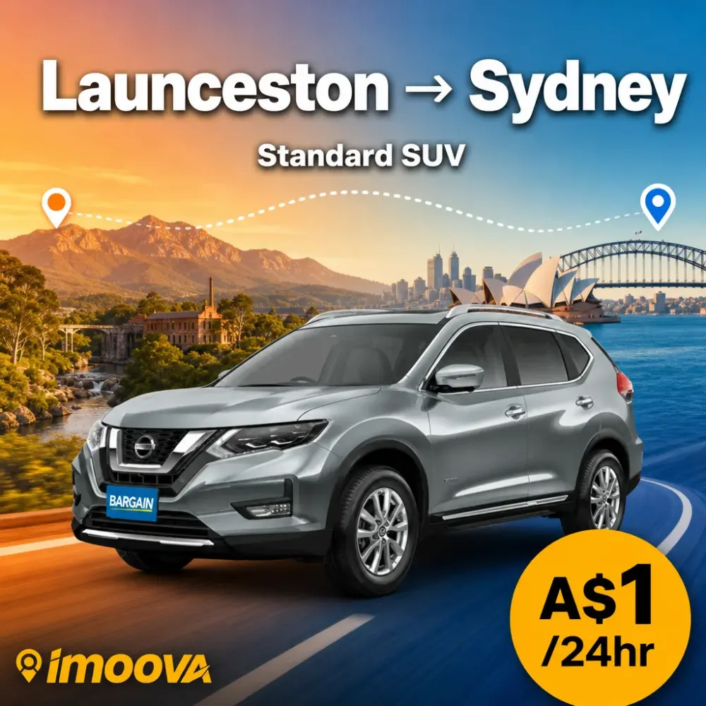 Standard SUV - image 1