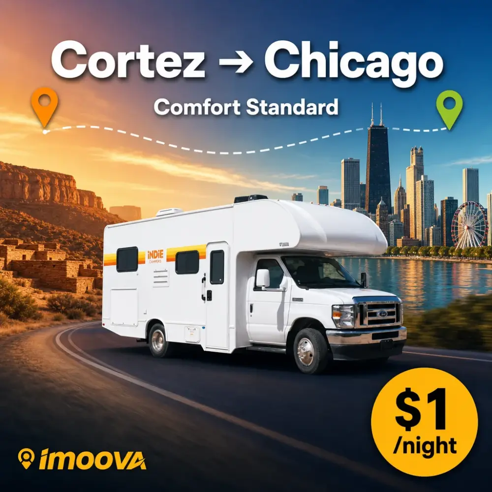 Comfort Standard - image 1