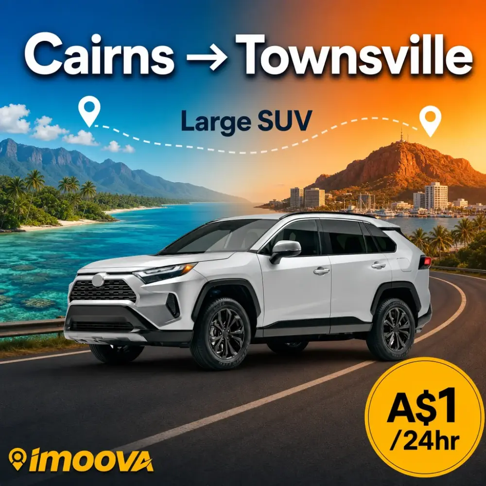 Large SUV - image 1
