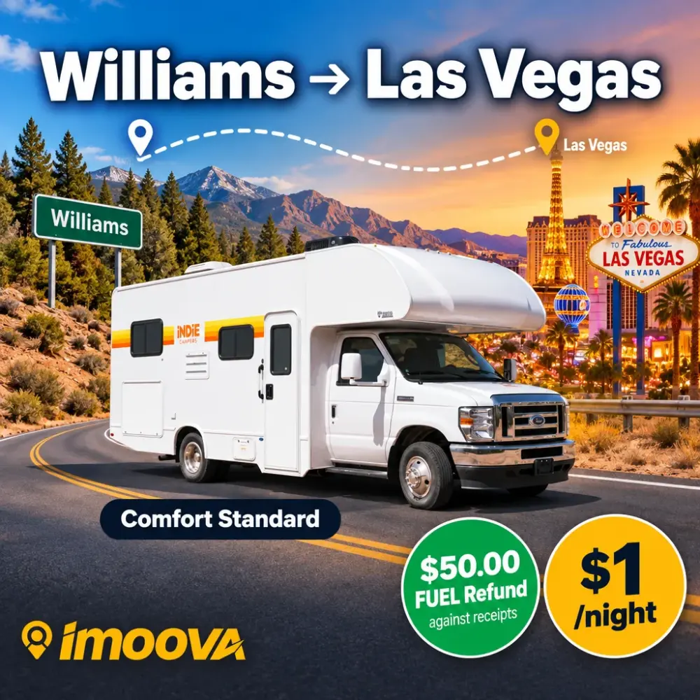 Comfort Standard - image 1