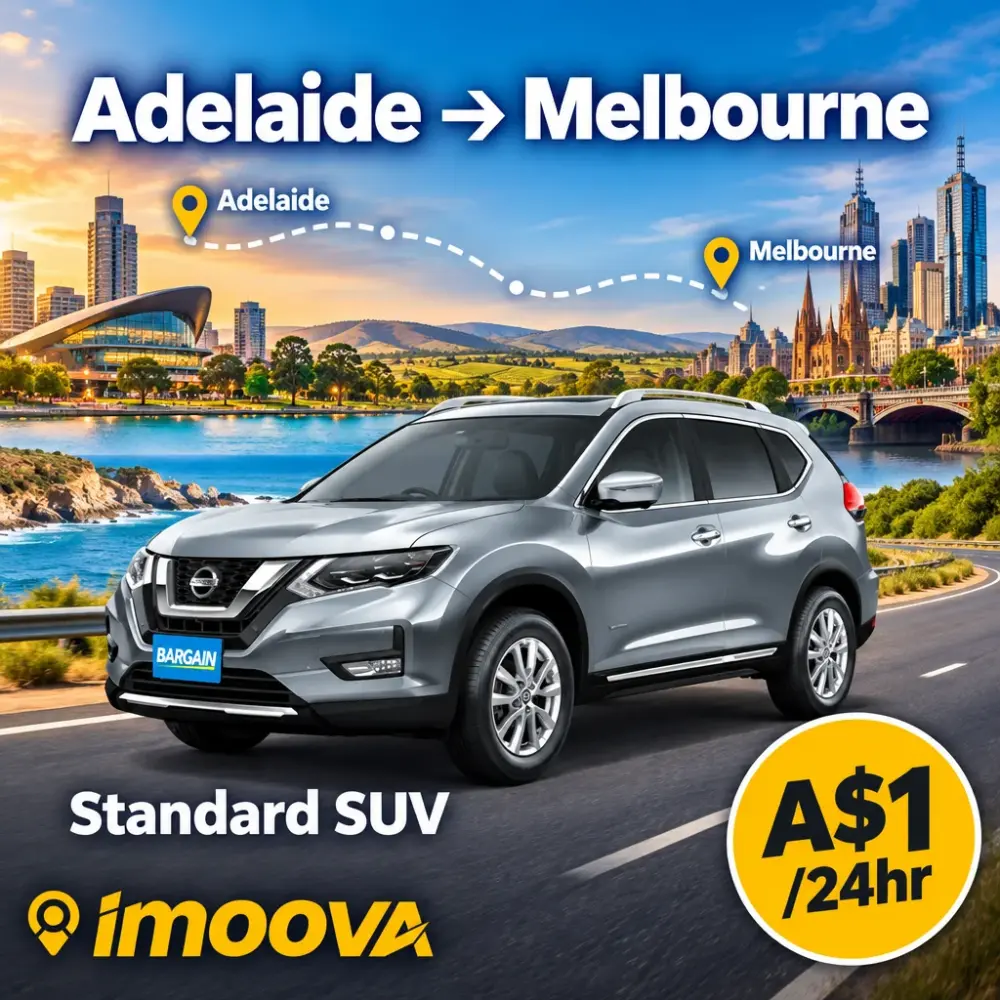 Standard SUV - image 1