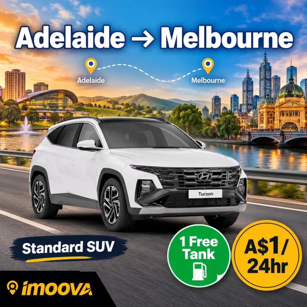 Standard SUV - image 1