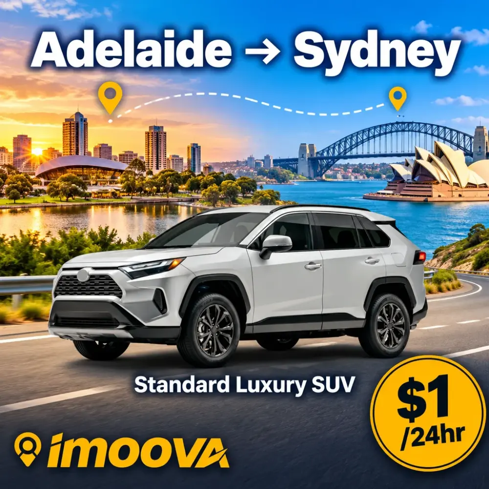 Standard Luxury SUV 从 Adelaide 到 Sydney 的搬迁